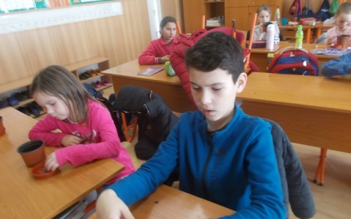 Tavaszi készülődés